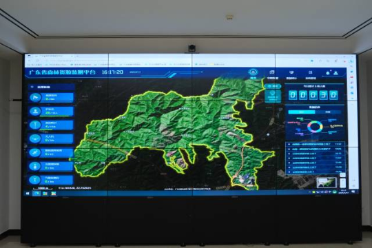 广东省森林资源监测平台。南方+ 王嘉豪 拍摄